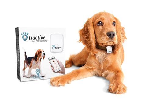 tractive tracker for dogs